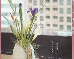 ���i�C���[�W